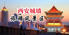 东北肏逼毛片中国陕西-西安城墙旅游风景区